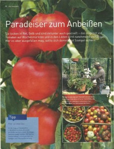 Paradeiser_Cover